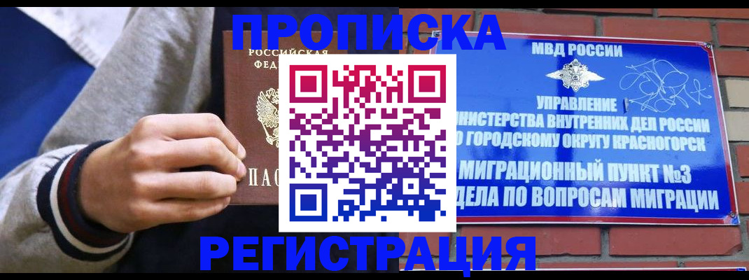 регистрация для дет. сада в Снежногорске
